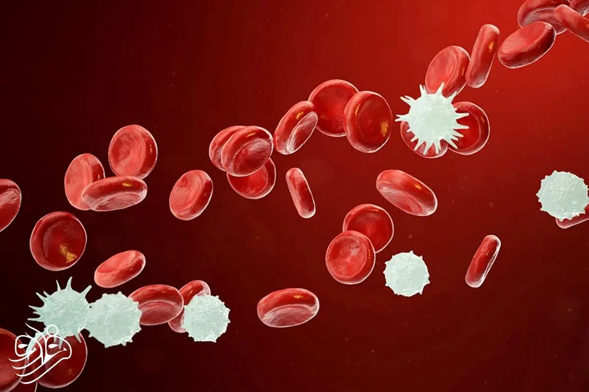 فناوری علیه سرطان خون؛ نخستین مغز استخوان انسانی ساخته شد