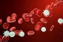 فناوری علیه سرطان خون؛ نخستین مغز استخوان انسانی ساخته شد