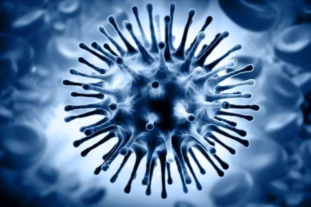 ثبت نخستین مرگ ناشی از آنفلوانزای H3N2 در هرمزگان
