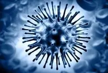 ثبت نخستین مرگ ناشی از آنفلوانزای H3N2 در هرمزگان
