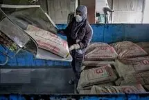افزایش قیمت سیمان در پی مازوت‌سوزی