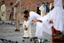تصاویر؛ زیارت اماکن مقدس مدینه