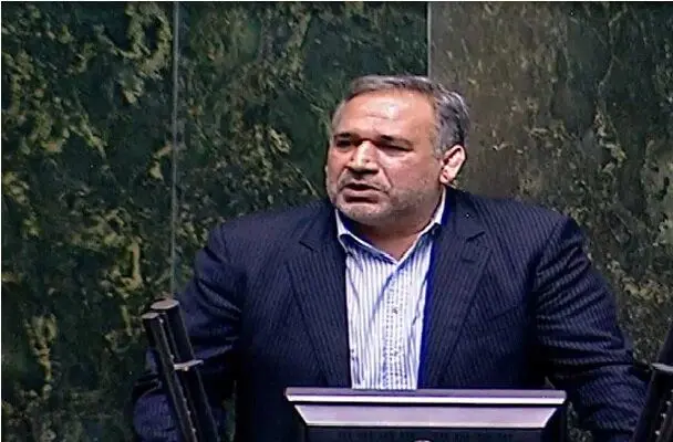 نماینده مجلس: ارز ترجیحی حذف نشد بلکه کم آمد!