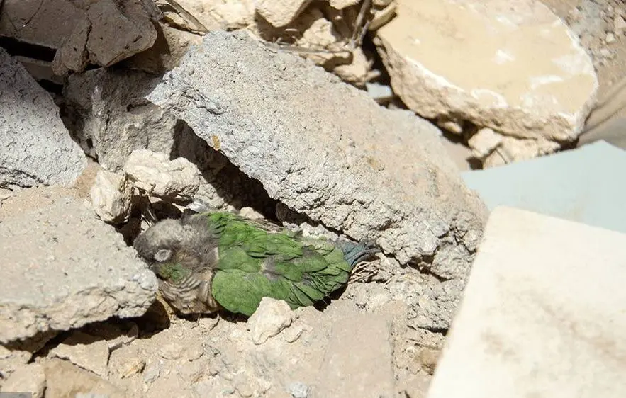 تصاویر؛ خسارات حمله هوایی به تبریز