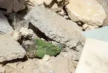 تصاویر؛ خسارات حمله هوایی به تبریز