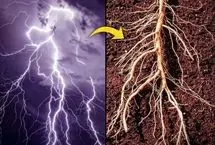 تصاویر؛ شباهت باورنکردنی کهکشان و انسان