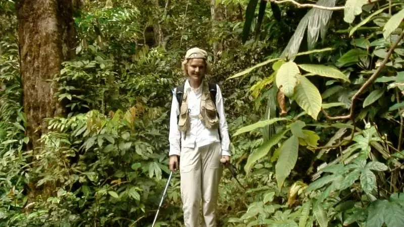 بازمانده سقو یک هواپیما