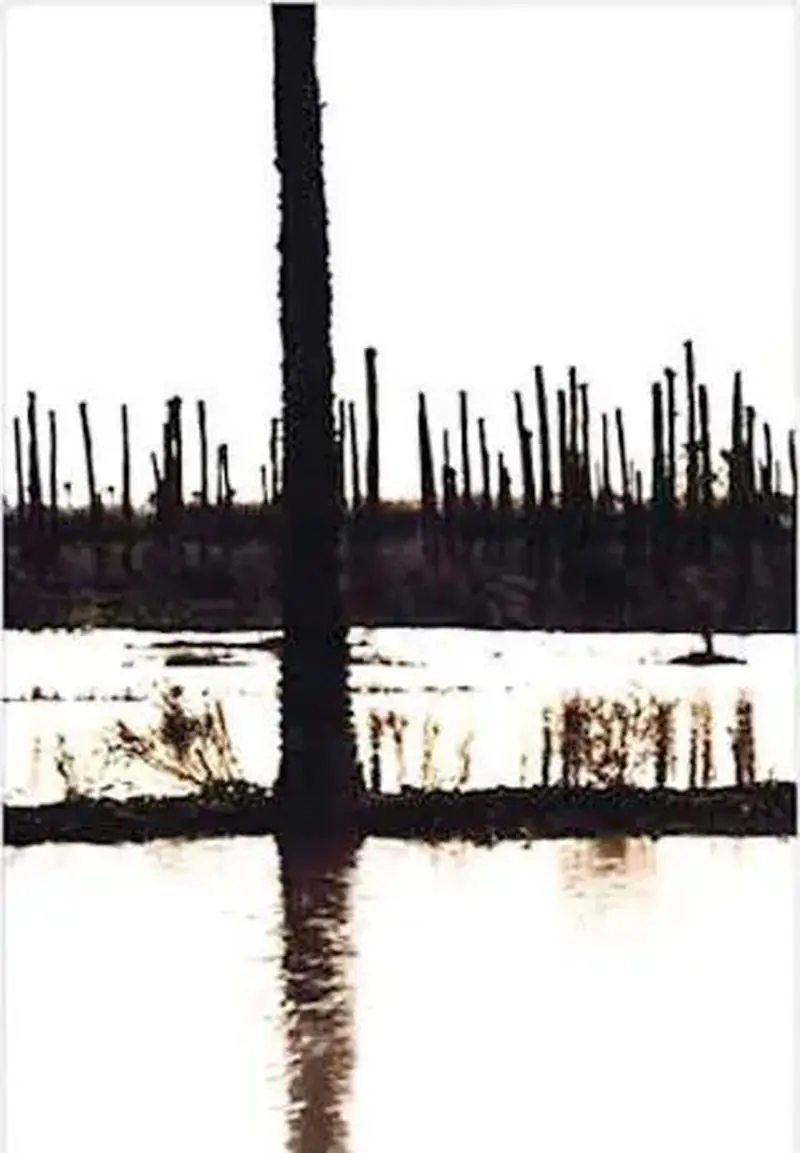 photo_2025-10-14_19-34-56_11zon(1)