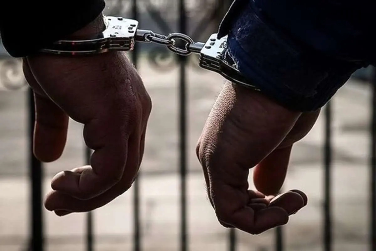 اداره مهاجرت و گمرک آمریکا: ۱۳۰ تبعه ایرانی طی یک هفته گذشته در آمریکا بازداشت شدند
