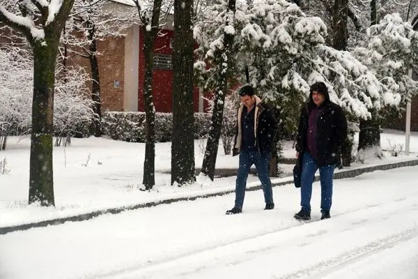 تصاویر؛ برف، اردبیل را سفید پوش کرد