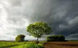 تفال به حافظ پنجشنبه 22 خرداد 1404؛ به دام زلف تو دل مبتلای خویشتن است..