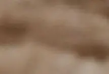 تصاویر؛ فینال چوگان زنان