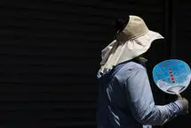 پشت پرده کلافگی در تابستان؛ تأثیرات گرما بر مغز
