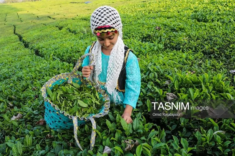 جهان به روایت تصویر
