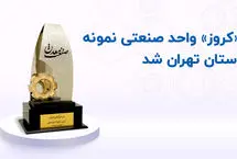 
«کروز» واحد صنعتی نمونه استان تهران شد

