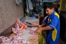 پرواز قیمت‌ها در بازار مرغ