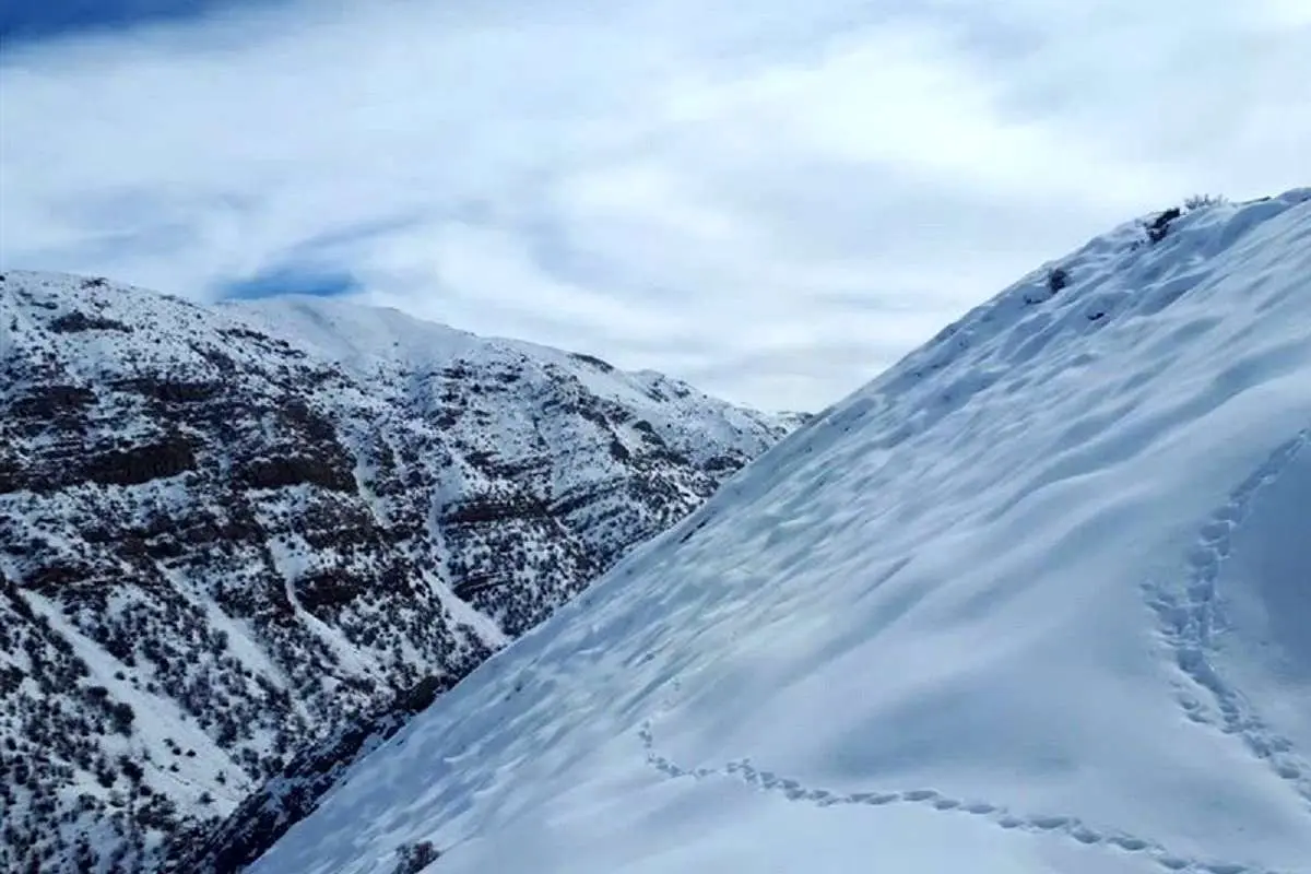 برف پاییزی دنا را سفیدپوش کرد
