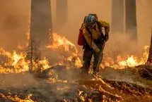 در استان مازندران حتی یک پایگاه اطفای حریق وجود ندارد
