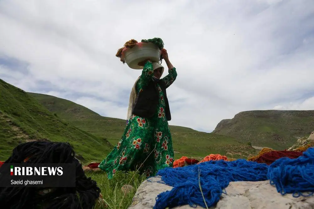 گالری