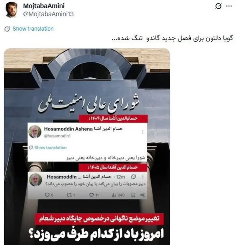 مجتبی امینی آشنا