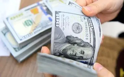 چرا قیمت دلار با شتاب بالا می رود و چرا دولت کاری نمی کند؟

