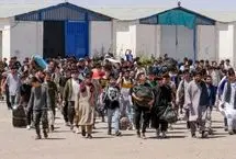 جدیدترین آمار از تعداد افغان‌های غیرمجاز در ایران