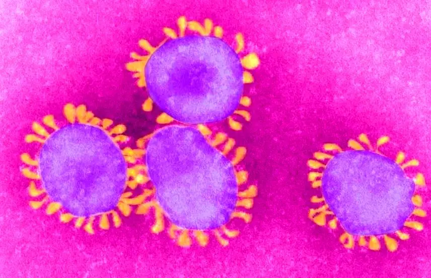  ابتلا به کرونا حین بارداری می‌تواند ریسک اوتیسم را در فرزند افزایش دهد