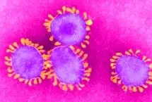  ابتلا به کرونا حین بارداری می‌تواند ریسک اوتیسم را در فرزند افزایش دهد