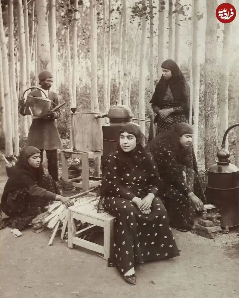 گلاب گیری