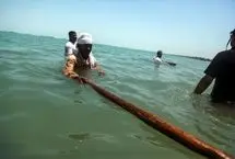تصاویر؛ آیین «علم شویی» در خلیج فارس