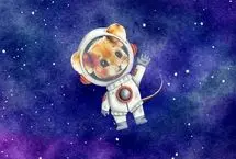 موش فضانورد پس از بازگشت از فضا ۹ توله به دنیا آورد