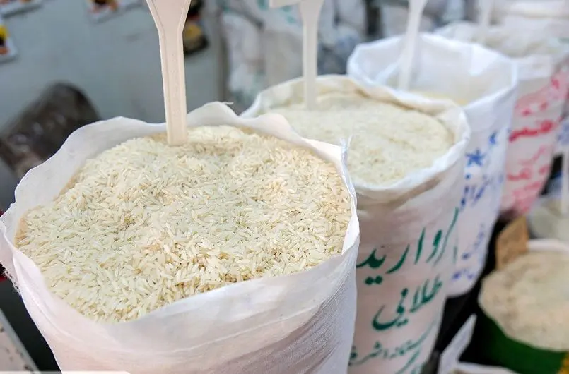 برنج بالاخره تسلیم شد