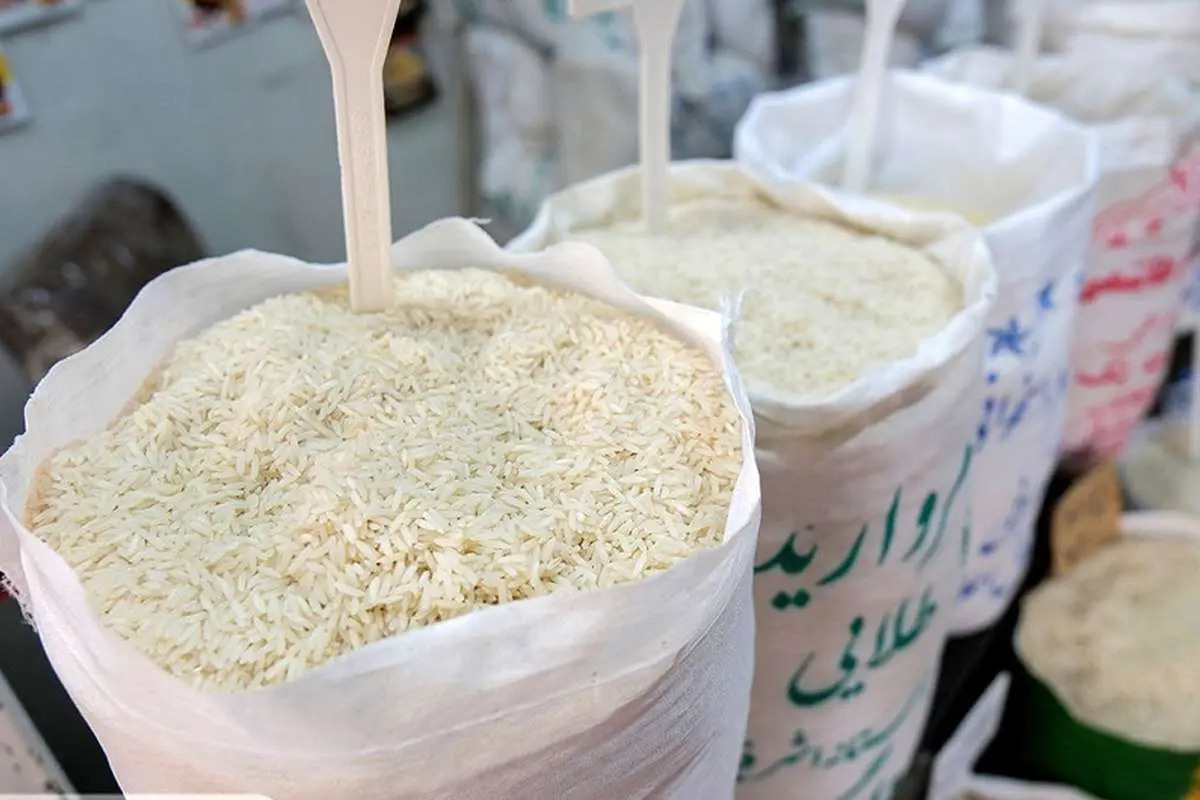 برنج بالاخره تسلیم شد