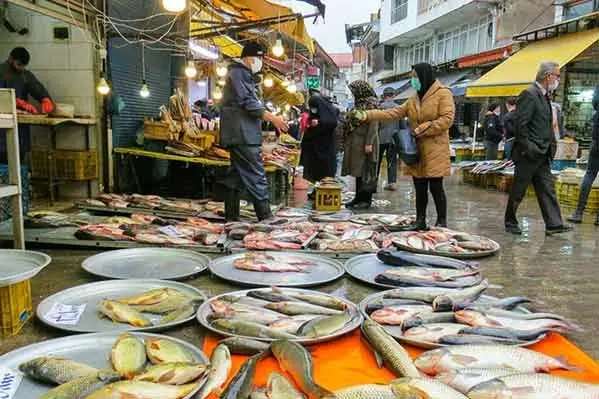 بهترین بازارهای ماهی گیلان کجاست؟ 