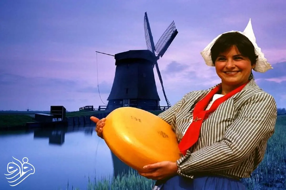 اره‌ای که جهان را تغییر داد!