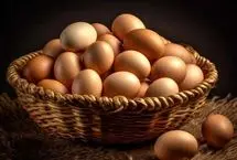کاهش قیمت تخم مرغ به خاطر گرما