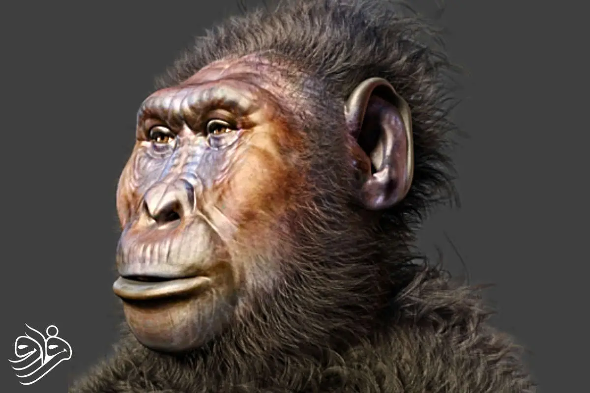 کشف دستهای شگفتانگیز با ویژگیهای گوریل و انسان!