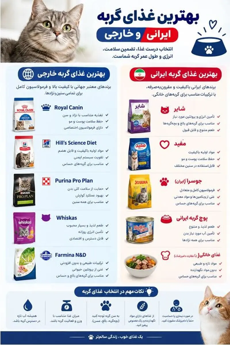 غذای گربه