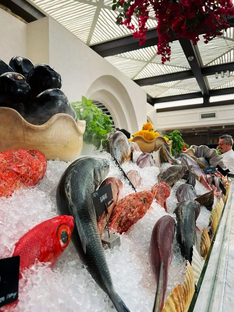 photo_2025-11-04_09-19-06