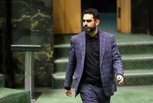 افشاگری ثابتی درباره پیامک یک نماینده مجلس: لعنت به من اگر برای خانه‌دار شدن رأی بدهم