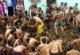 ببینید؛ جشنواره مبارزه با تاپاله گاو در هند