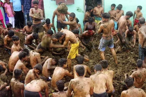 ببینید؛ جشنواره مبارزه با تاپاله گاو در هند