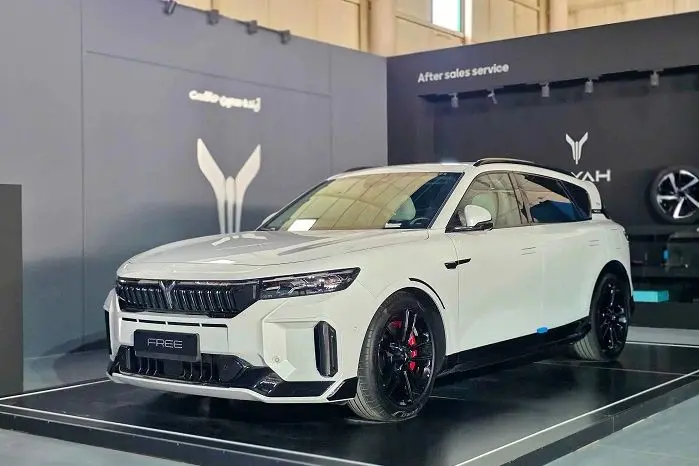 رقبای وویا فری 2025 در ایران کدامند؟