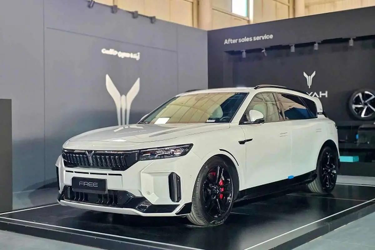 رقبای وویا فری 2025 در ایران کدامند؟