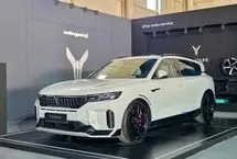 رقبای وویا فری 2025 در ایران کدامند؟