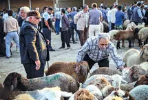 قیمت جدید دام زنده مشخص شد