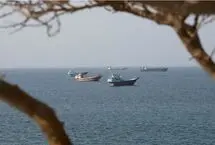 بیانیه دبیرکل IMO در ششمین ماه جنگ علیه ایران