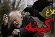 کینه عجیب یک کلاغ از مردی که جوجه‌اش را نجات داد