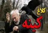 کینه عجیب یک کلاغ از مردی که جوجه‌اش را نجات داد