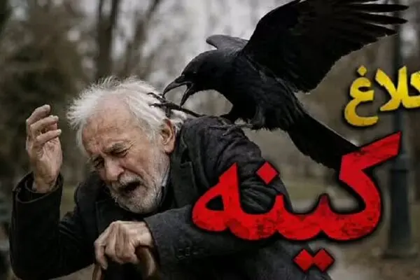 کینه عجیب یک کلاغ از مردی که جوجه‌اش را نجات داد
